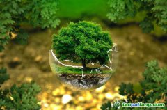 控排企業(yè)碳資產(chǎn)管理代運(yùn)營(yíng)：配額籌劃、合規(guī)化改造等數(shù)據(jù)優(yōu)化、碳交易金融化思維